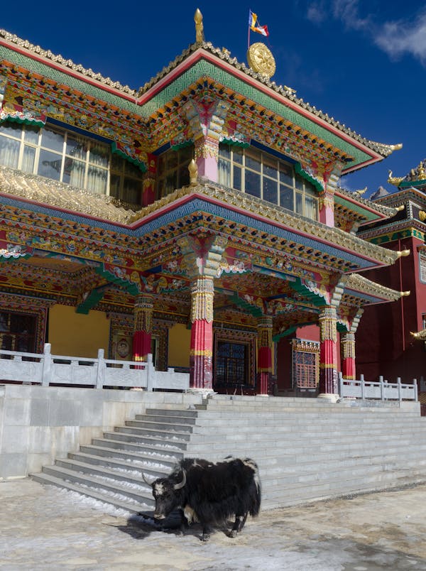 Quiz o Lhasie, świętym mieście Tybetu