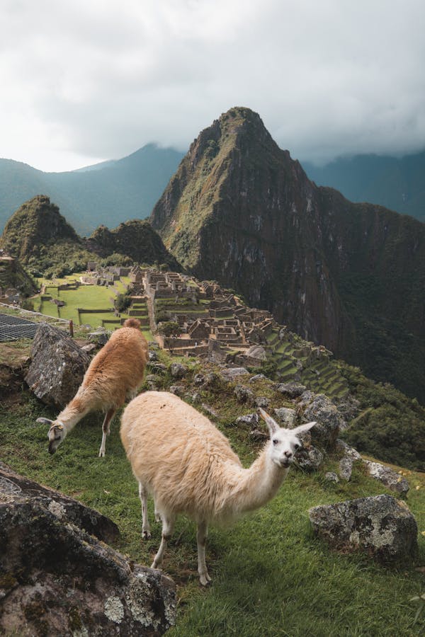 Quiz o Cusco, Peru: Ile wiesz o tym historycznym mieście?