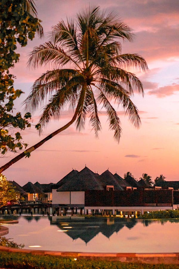 Sprawdźcie swoją wiedzę o Fidży w tym quizie!