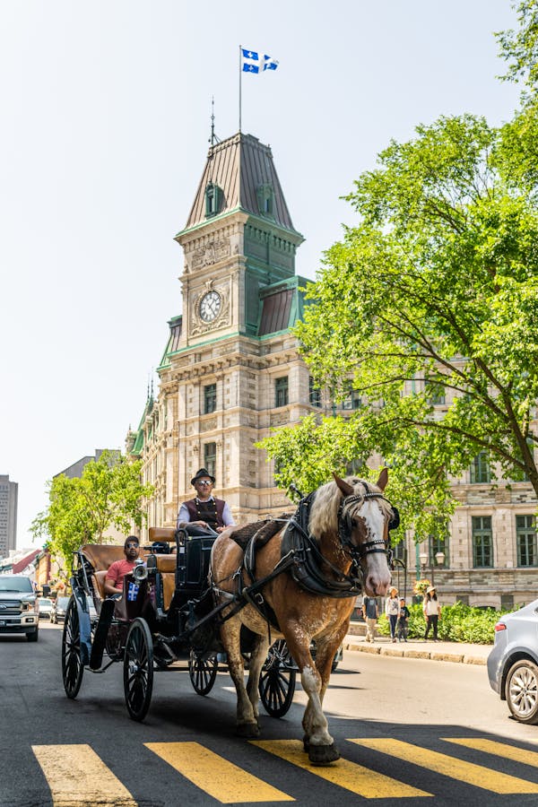 Quiz o Quebec City: ile wiesz o stolicach Kanady?