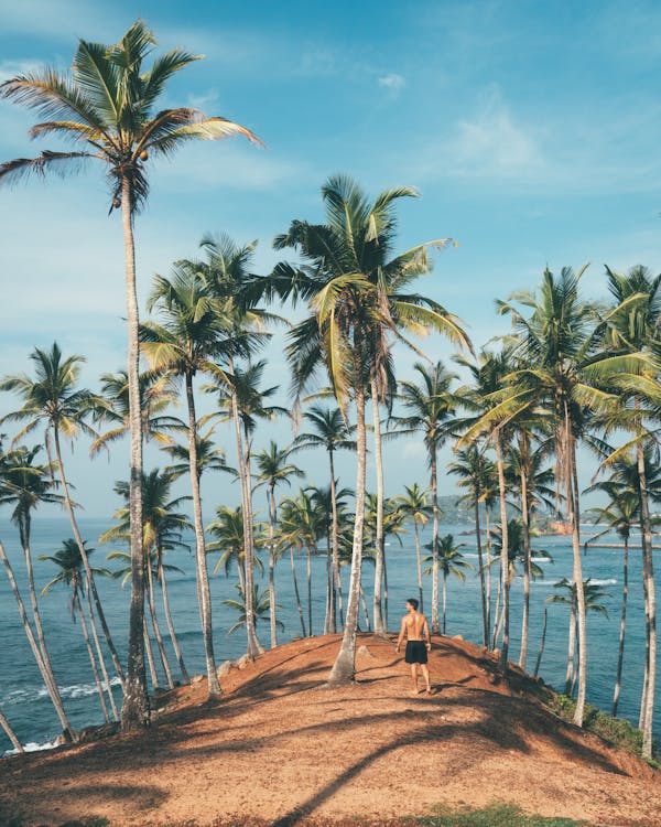 Quiz o Sri Lance: Ile wiesz o tej pięknej wyspie?